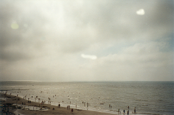 Schoorlse duinen