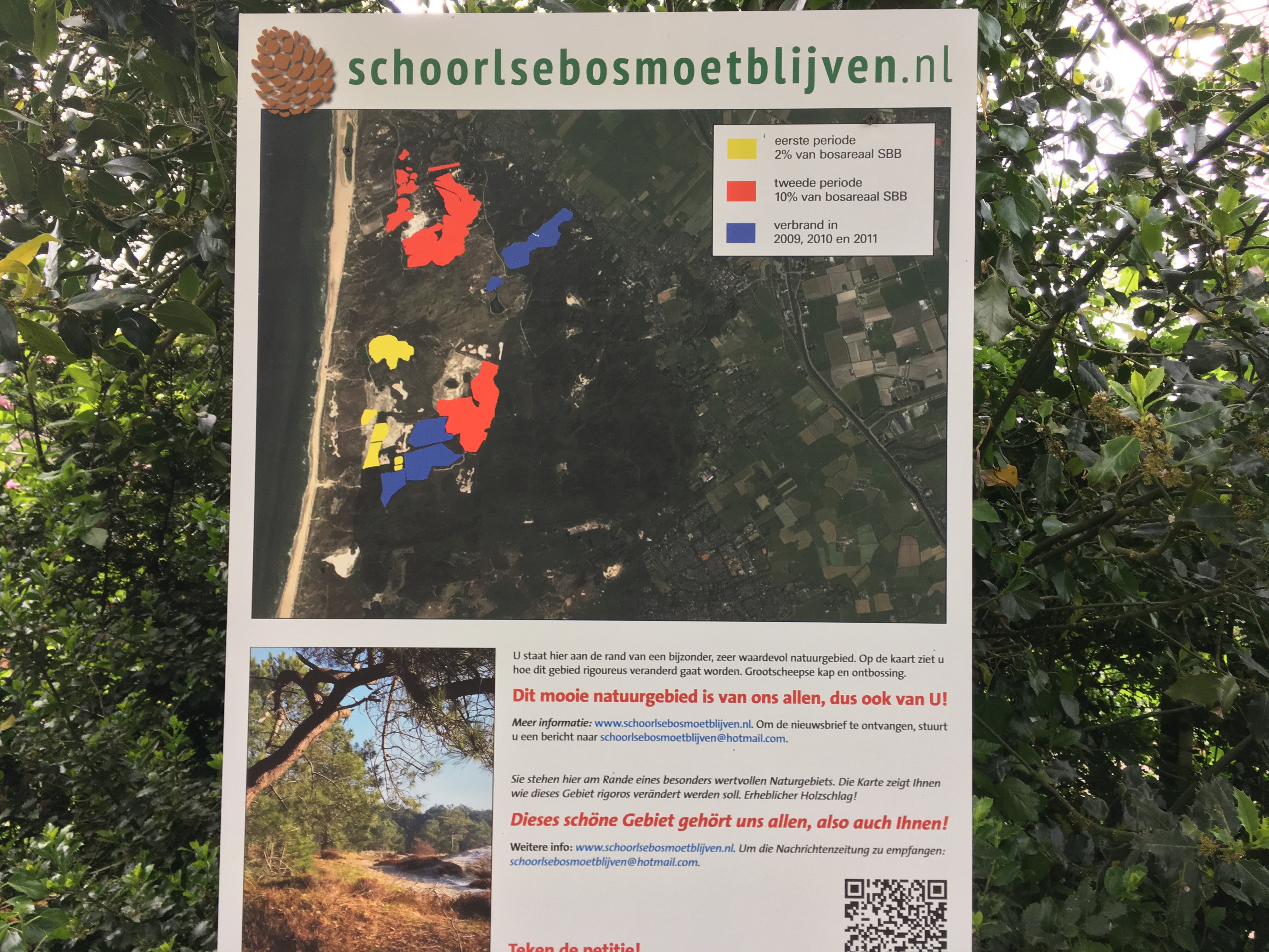 Schoorlse bos