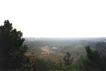 Schoorlse duinen